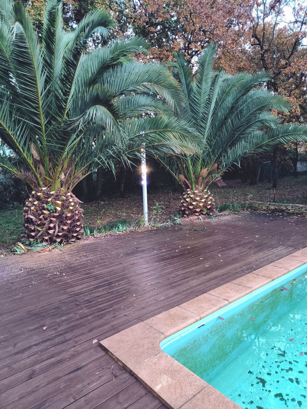 Jardin après intervention de MS Espace Vert, abords de piscine