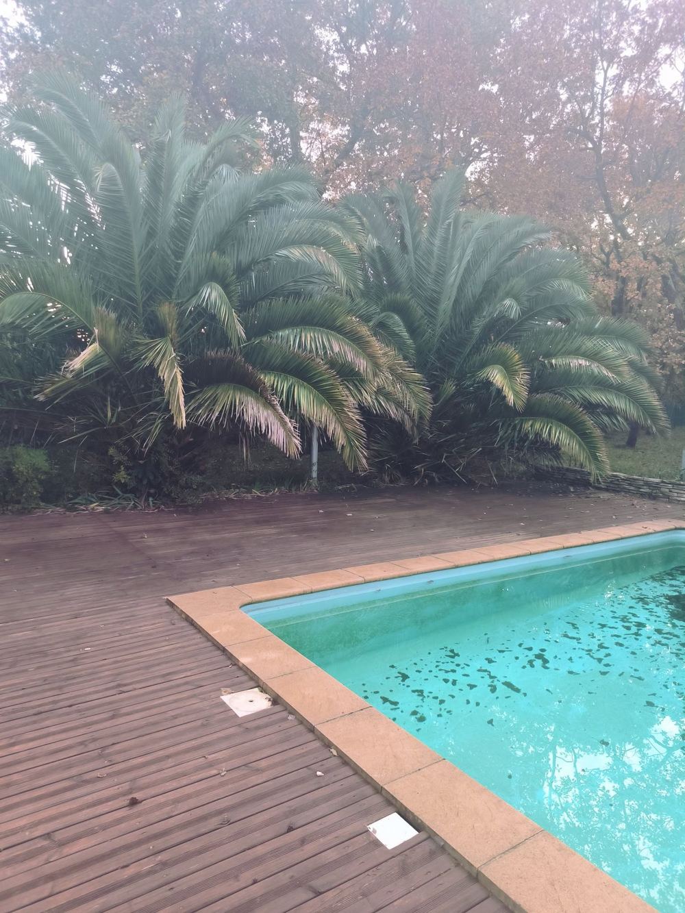 Jardin avant intervention de MS Espace Vert, abords de piscine