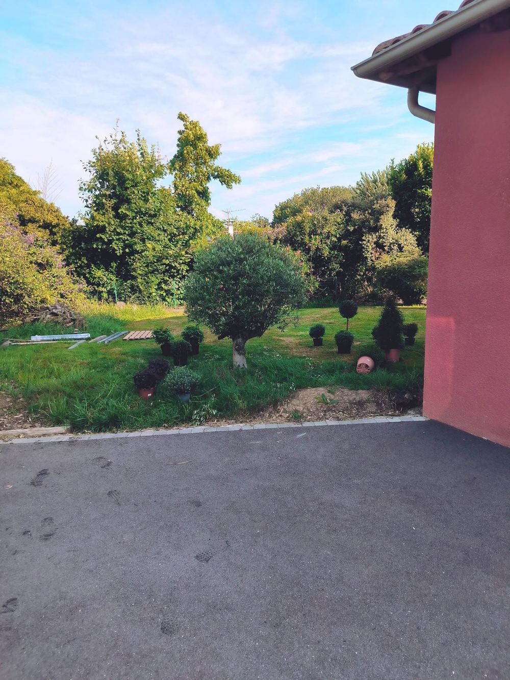 Jardin avant intervention de MS Espace Vert, création de jardin
